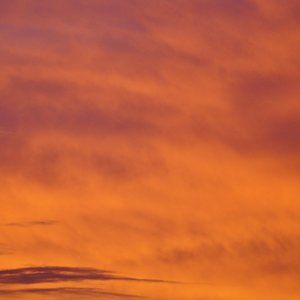 Meet your Posher, Isabella